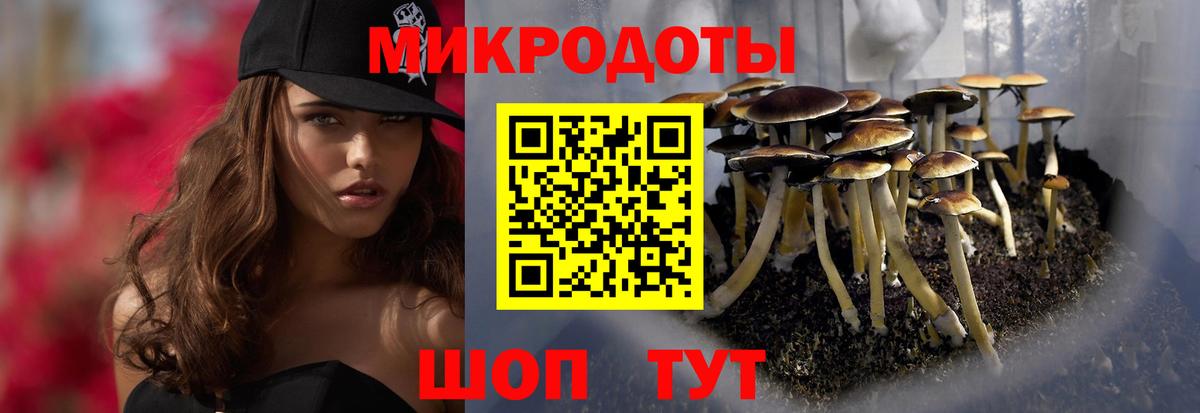 Псилоцибиновые грибы MAGIC MUSHROOMS  Псилоцибиновые грибы ЛСД  Вход с VPN  Ленинск-Кузнецкий 